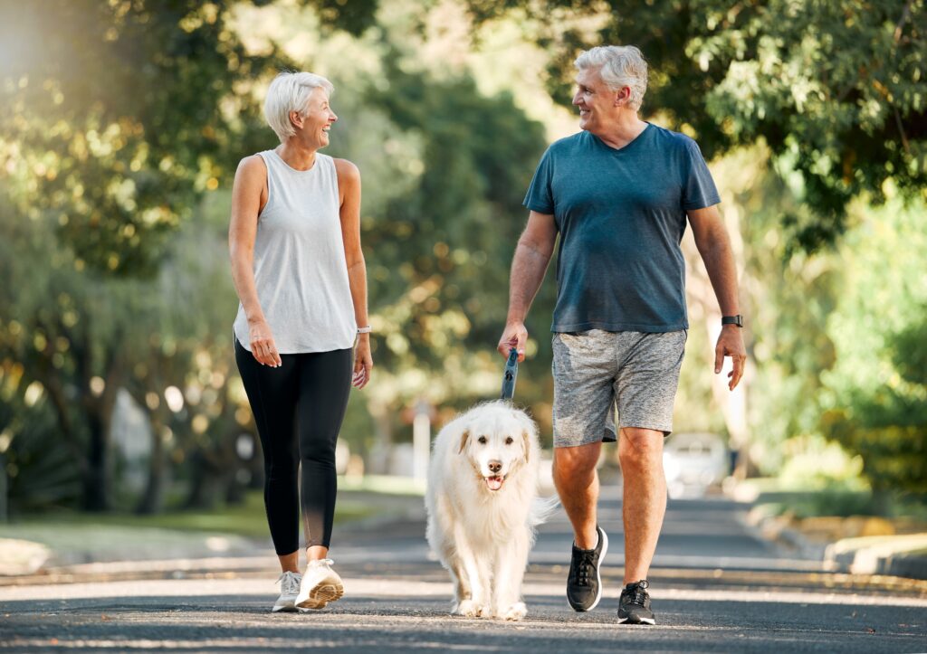 Two people walking a dog outside in the sun